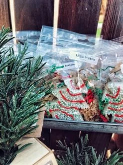 Buckin Baby Wholesale Accessories Christmas Cake Freshie